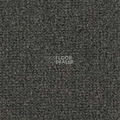 Ковролин Balsan Les Best S 990 фото 1 | FLOORDEALER