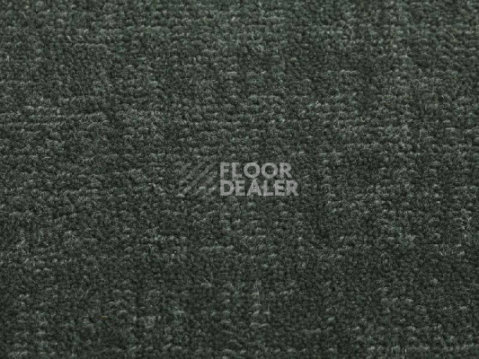 Ковролин Jacaranda Carpets Willingdon Olea фото 1 | FLOORDEALER