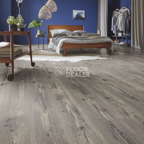 Kronotex Dynamic Plus d4781 Дуб Курганный фото 3 | FLOORDEALER