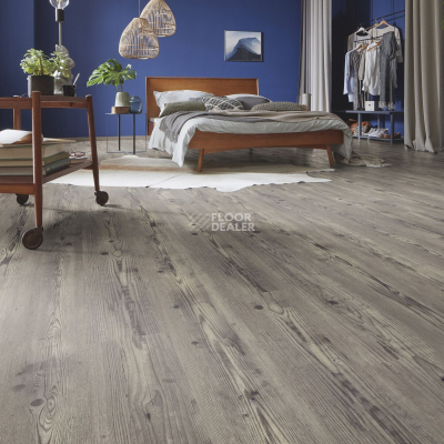 Ламинат Kronotex Dynamic Plus d4781 Дуб Курганный фото 3 | FLOORDEALER