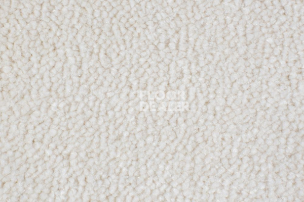 Ковролин Edel Vanity 102 фото 1 | FLOORDEALER
