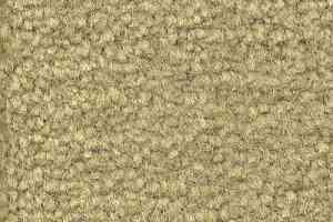 Ковролин Emphatic Beaulieu of America 56370 фото  | FLOORDEALER