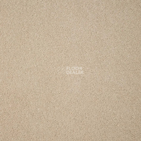 Ковролин Haima Noble 69 фото 1 | FLOORDEALER