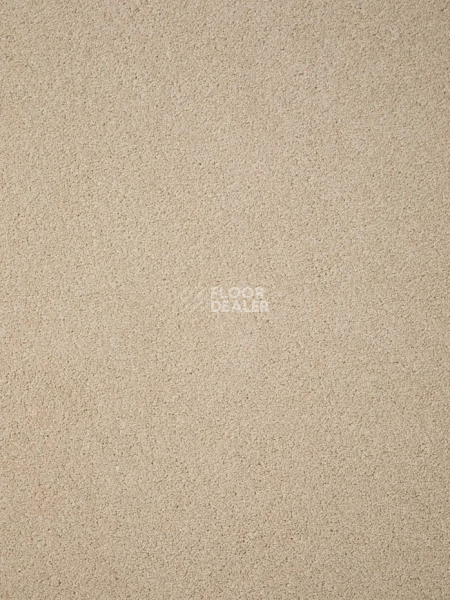 Ковролин Haima Noble 69 фото 1 | FLOORDEALER