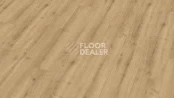 Ламинат My Floor Cottage широкая 8мм Дуб Дуэро MV899 фото 1 | FLOORDEALER