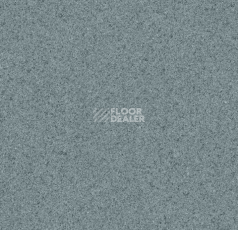 Линолеум Grabo Terrana Top Extra 4564-296 фото 1 | FLOORDEALER