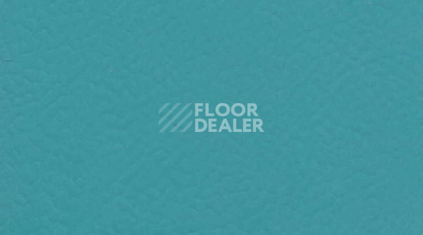 Линолеум Gerflor Taraflex evolution Uni 6431_Teal фото 1 | FLOORDEALER