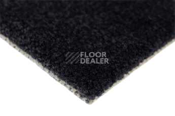 Balsan Les Best 999 фото 4 | FLOORDEALER