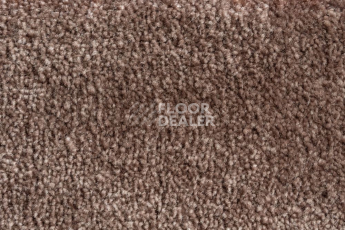 AW Masquerade Fedone / Федонэ 44 фото 6 | FLOORDEALER
