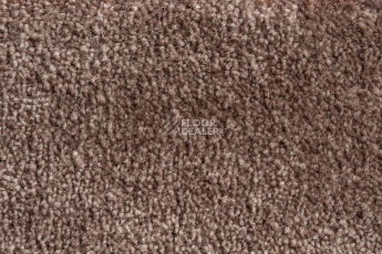 AW Masquerade Fedone 44 фото 6 | FLOORDEALER