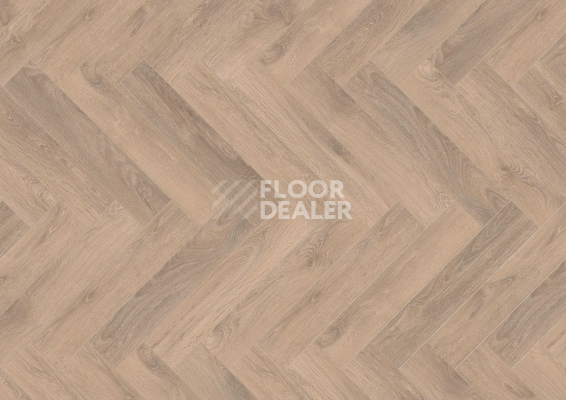 Ламинат Terhurne Herringbone Edition New Дуб Шале фото 1 | FLOORDEALER