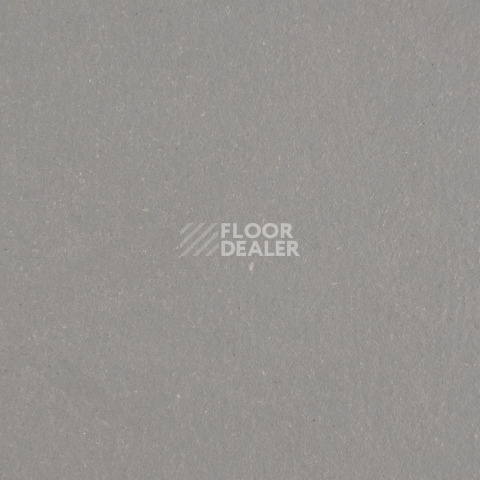 Линолеум Forbo Marmoleum Solid Walton 3367-336735 alloy фото 1 | FLOORDEALER