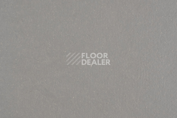 Линолеум Forbo Marmoleum Solid Walton 3367-336735 alloy фото 1 | FLOORDEALER