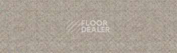 Линолеум Tarkett Delta SPRAY7 фото 1 | FLOORDEALER
