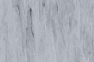 Линолеум Gerflor Mipolam Robust El7 0005 фото  | FLOORDEALER