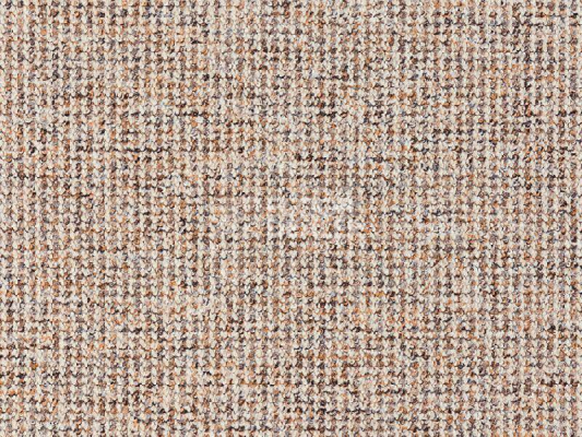 Ковролин Balta Brazil 700 фото 1 | FLOORDEALER