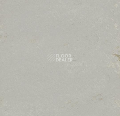 Кварцвиниловые полы Forbo Marmoleum Modular Shade 3717 фото 1 | FLOORDEALER