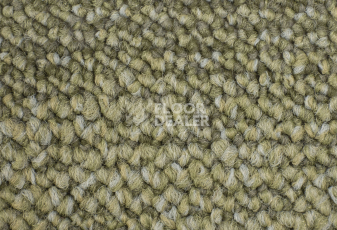 Desso Desert 7954 фото 2 | FLOORDEALER