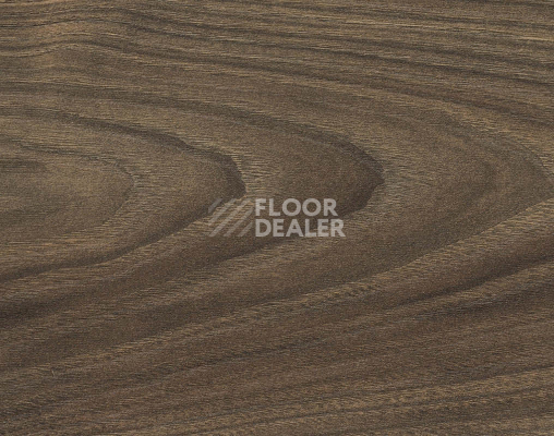 Ламинат Haro Tritty 200 Aqua 4V Акация Варио 544787 фото 1 | FLOORDEALER