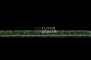 IVC Alternate 621 фото 3 | FLOORDEALER