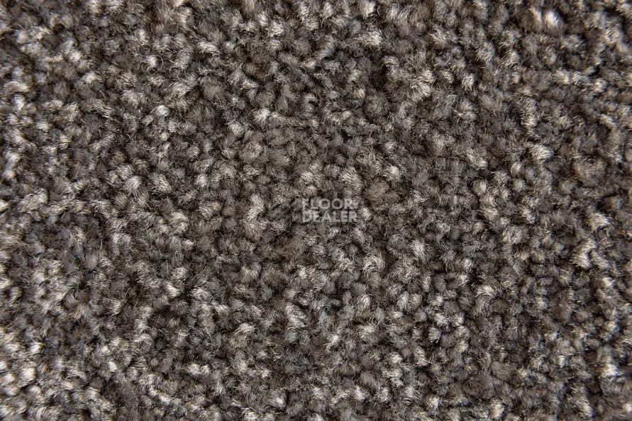 AW Masquerade Rosetta 44 фото 3 | FLOORDEALER