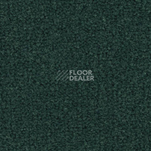 Ковролин Balsan Les Best 290 фото 1 | FLOORDEALER