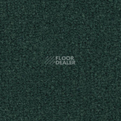 Ковролин Balsan Les Best 290 фото 1 | FLOORDEALER