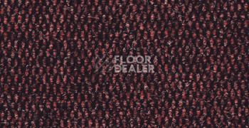 Ковролин Sintelon Favorit 1212 фото 1 | FLOORDEALER
