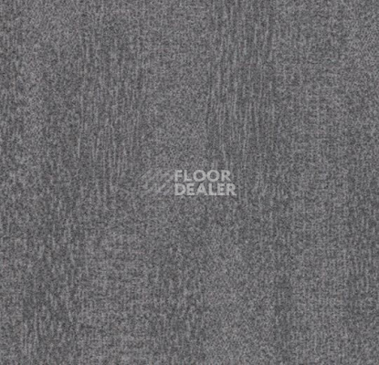 Ковровая плитка Forbo Flotex Colour Penang p 982017 Penang Nimbus фото 1 | FLOORDEALER