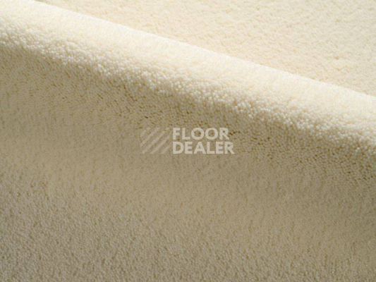Ковролин Radici Dolce Vita 9811 фото 1 | FLOORDEALER
