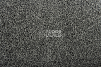Haima Noble 60 фото 2 | FLOORDEALER
