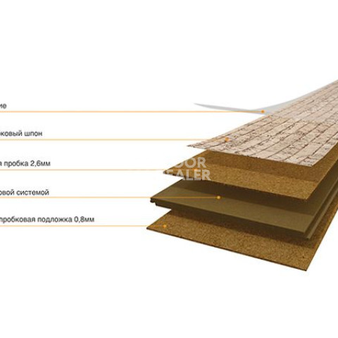 Cork Essence P802002   Personality Timide фото 3 | FLOORDEALER