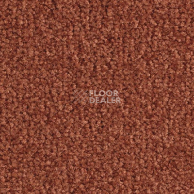Ковролин Balsan Scenario 480 фото 1 | FLOORDEALER