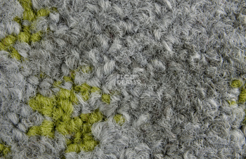 InnovFlor ColorKey ColorKey b 02 фото 2 | FLOORDEALER
