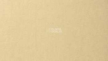 Ковролин Vorwerk Passion 1000/Modena Vorwerk 6a40 фото 1 | FLOORDEALER