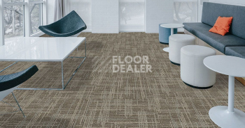 Standard Carpets Casini Casini 546 фото 2 | FLOORDEALER