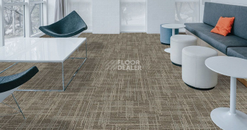 Standard Carpets Casini Casini 546 фото 2 | FLOORDEALER