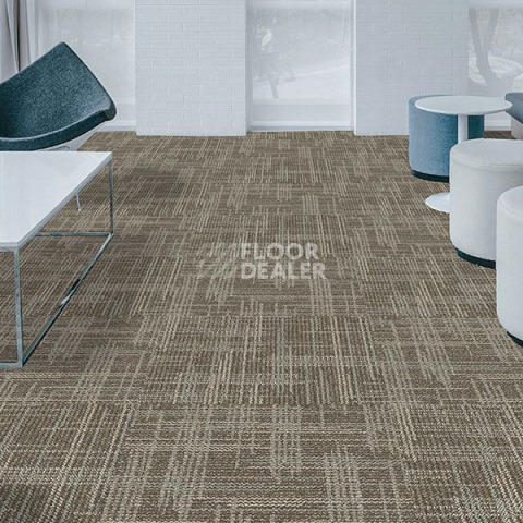 Standard Carpets Casini Casini 546 фото 2 | FLOORDEALER
