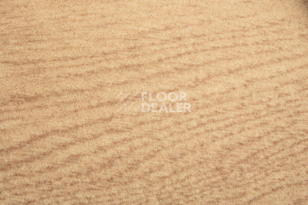 Vertigo Toronto 1757 010 фото 2 | FLOORDEALER
