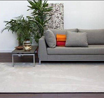 Edel Vanity