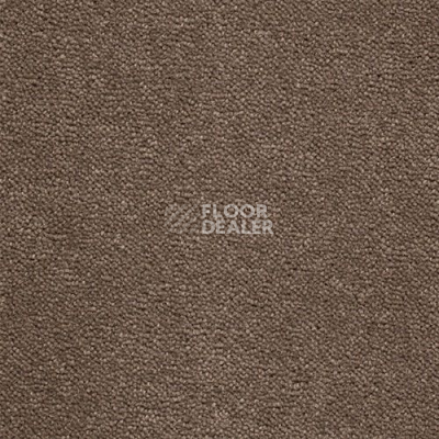 Ковролин Creatuft Sheba 1125 фото 1 | FLOORDEALER