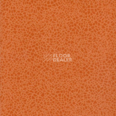 Линолеум Grabo Acoustic 43 Color 388-665-275 фото 1 | FLOORDEALER