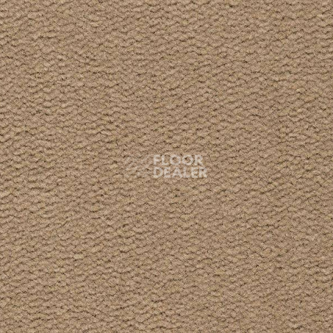 Ковролин Best Wool Pure Tasman 121 фото 1 | FLOORDEALER