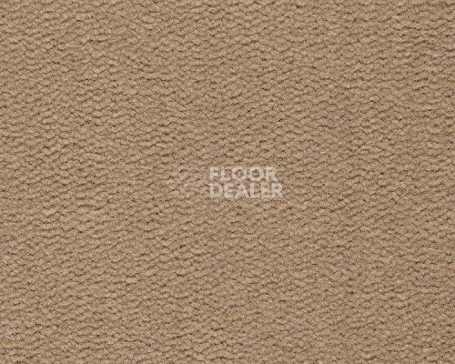 Ковролин Best Wool Pure Tasman 121 фото 1 | FLOORDEALER