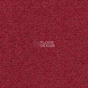 Ковролин Radici Montecarlo 6 фото 1 | FLOORDEALER