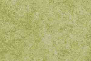 Ковровая плитка Forbo Flotex Colour Calgary 50*50 t 590014 Calgary Lime фото  | FLOORDEALER