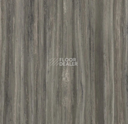 Линолеум Forbo Marmoleum Striato 5251 black glacier фото 1 | FLOORDEALER