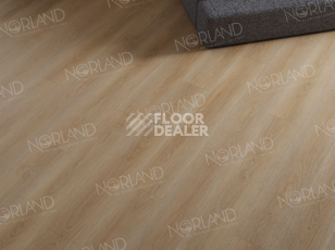 Norland Sigrid  LVT 2мм Eli 1003-6 фото 4 | FLOORDEALER