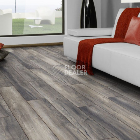 Kronotex Robusto 12мм d3572 Дуб Портовый Серый фото 2 | FLOORDEALER