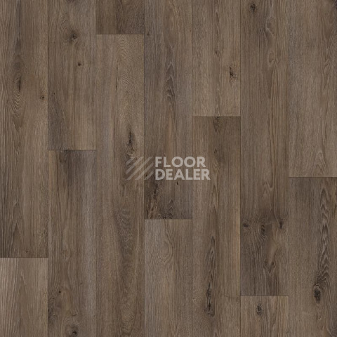 Линолеум Tarkett ENERGY BOIL 3 фото 1 | FLOORDEALER